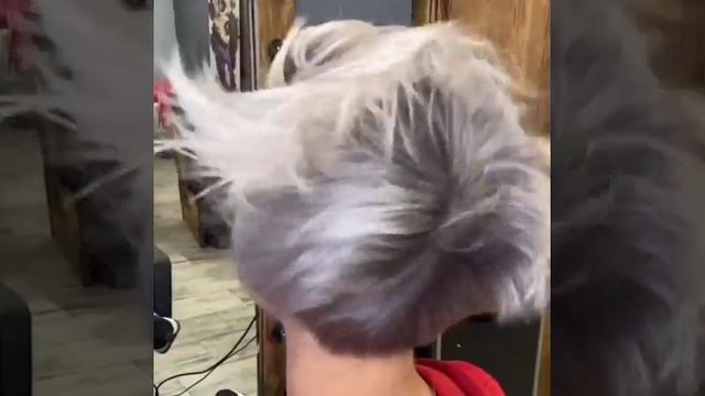 Холодный блонд и короткий Боб Cold blond and short bob #окрашивание#суперблонд#haircutbob#superblon смотреть онлайн