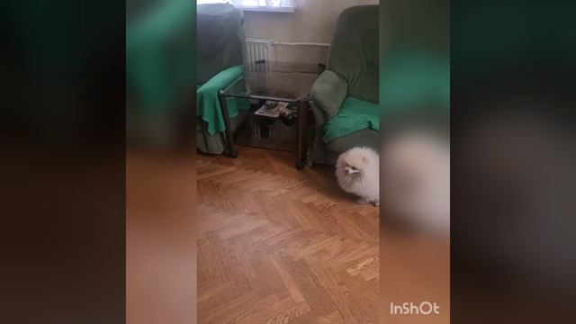 Спорт - наше всё! Борьба?♂️?