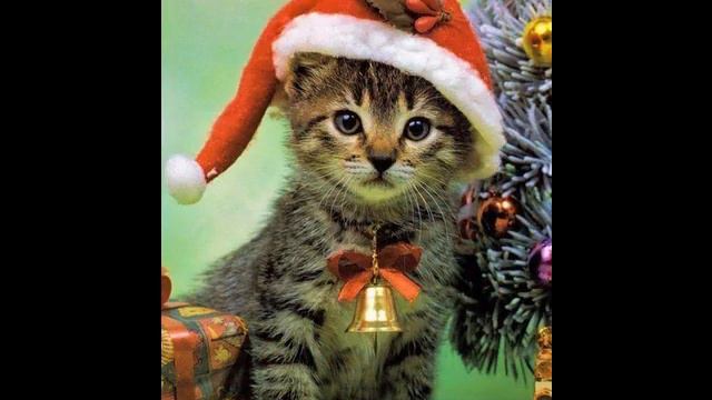 Рождественская История Или Записки Из Полу Мертвого Дома - Christmas History Or Notes From the Fl смотреть онлайн