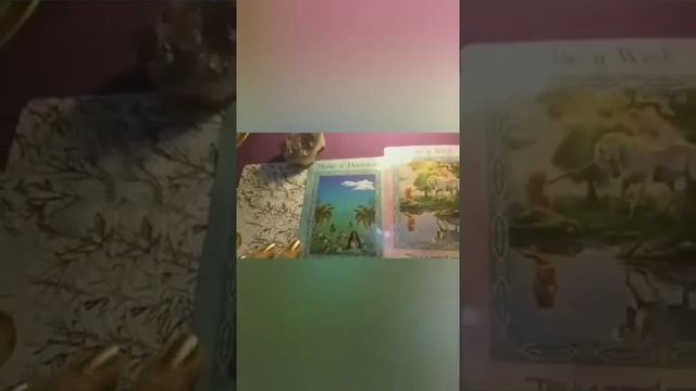 Weekly Oracle Guidance for all zodiac signs.? смотреть онлайн