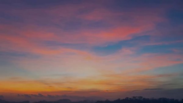 FloyyMenor - GATA ONLY ft. Cris MJ (Letra_Lyrics)