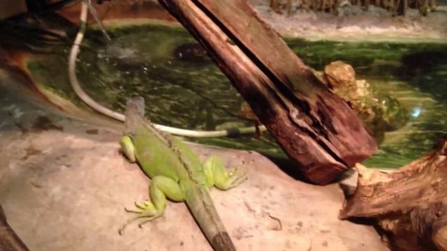 Aquatopia - Part 2 смотреть онлайн