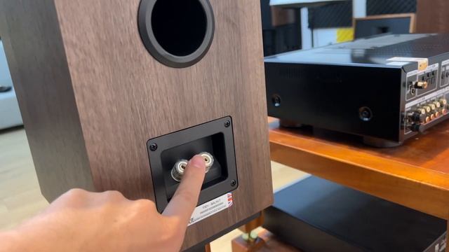 Ông Hoàng Dải Cao FYNE AUDIO F301i ️? Bookshelf Cực Gấu Dòng Nhạc Vocal, Acoustic, Hòa Tấu, Trữ Tìn смотреть онлайн