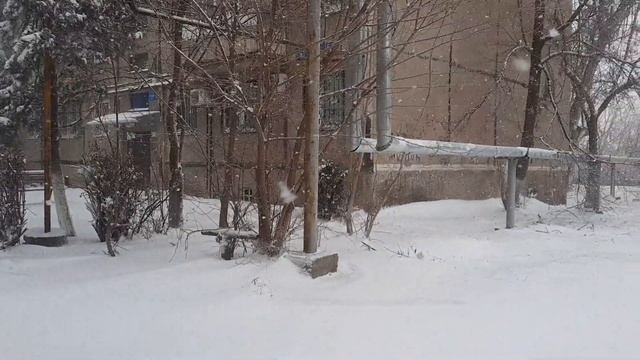 Шымкент за ночь завалило снегом? Снегопад в Шымкенте 22.01.2021, а еще вчера было +14 смотреть онлайн