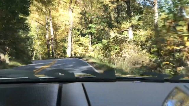 FnFusions team Georgia’s first official cruise. #ford #fusion смотреть онлайн