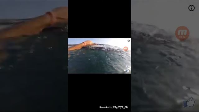 Смотрю:10 видео которые нужно посмотреть,чтобы поверить в чудо смотреть онлайн