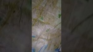 изучаем вместе карту краснодарского края