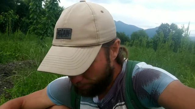 Почему клубника остаётся на плантациях, и её больше не собирают? Конец мая 2022 смотреть онлайн