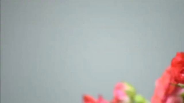 Красивое поздравление для Дорогой Подруги! Подруга, С ДНЕМ РОЖДЕНИЯ! смотреть онлайн