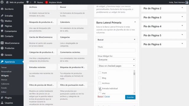 Cómo ocultar widgets en WordPress | Plugin Display Gidgets смотреть онлайн