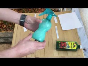 Как правильно изготовить питательный раствор для клубники (гидропоника)