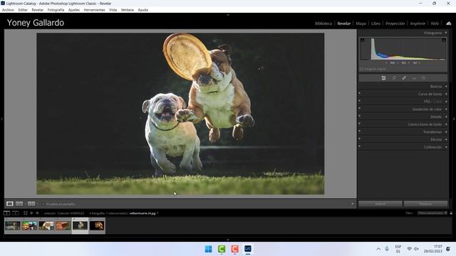 CURSO DE ADOBE LIGHTROOM 2023 смотреть онлайн
