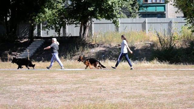 Шадель Моно Воронеж смотреть онлайн