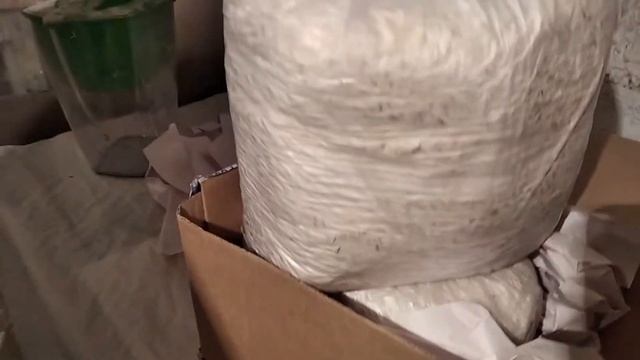 Где купить мицелий грибницу вешенки, зерновой мицелий почтой смотреть онлайн