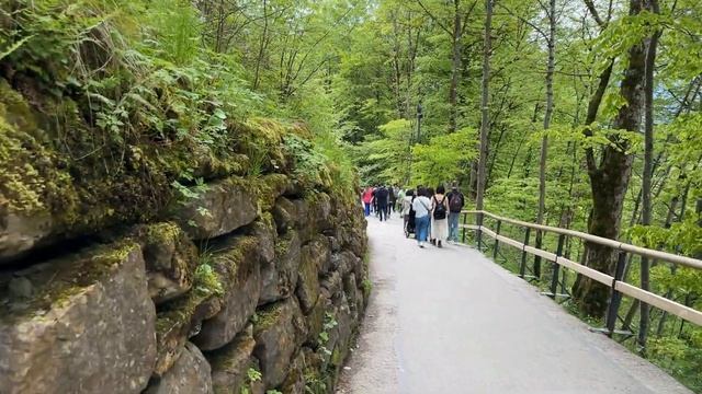 Наш отпуск по Германии. Замок Нойшванштайн (Neuschwanstein) 3 день из 10/ Поздние переселенцы смотреть онлайн