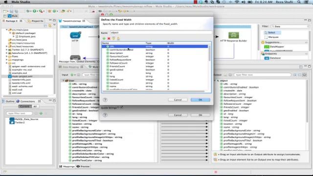Mule Early Preview DataMapper Demonstration смотреть онлайн