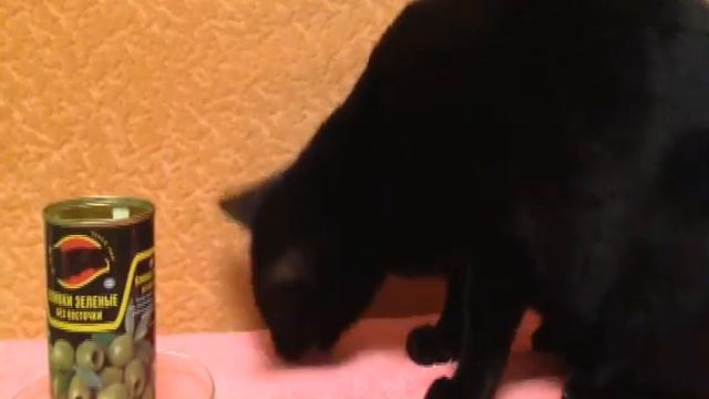 Буссська ∑:› Оливка смотреть онлайн