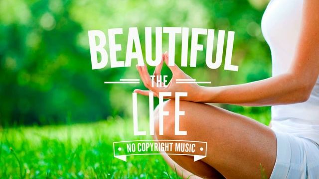 Purrple Cat - Time Stands Still | ? Beautiful LIFE - Музыка без авторских прав? смотреть онлайн
