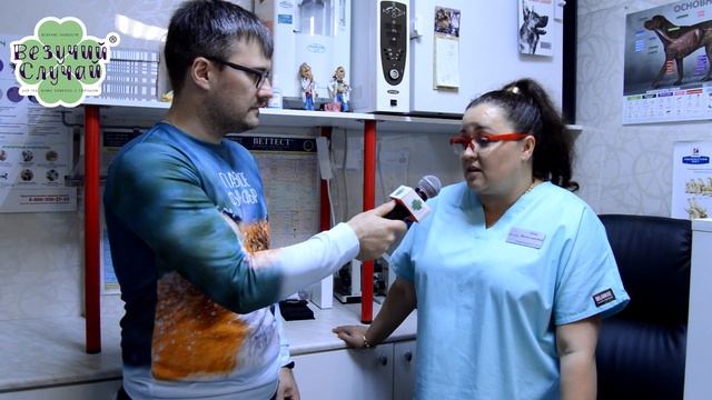 "Лапки в Тапки" 2-й Выпуск: ВАКЦИНАЦИЯ! смотреть онлайн