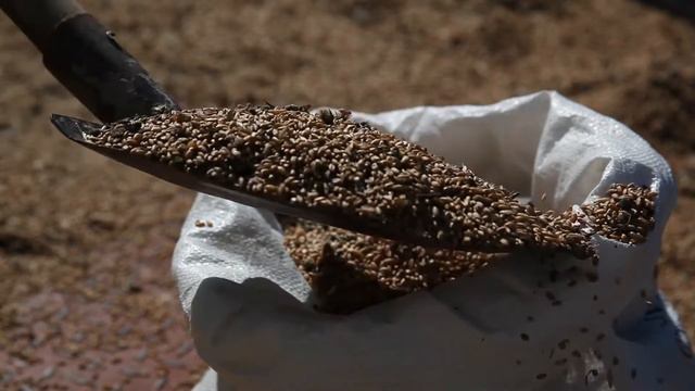 Голодомор. Світ знав, але мовчав смотреть онлайн