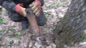 коп по войне , Калужская и Смоленская области