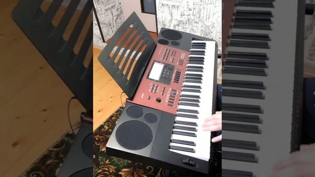 Седая ночь, любительская, на синтезаторе casio ctk-6250 смотреть онлайн
