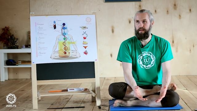 Как ЛУЧШЕ заниматься ЙОГОЙ. Противопоказания и предостережения. Александр Терентьев смотреть онлайн