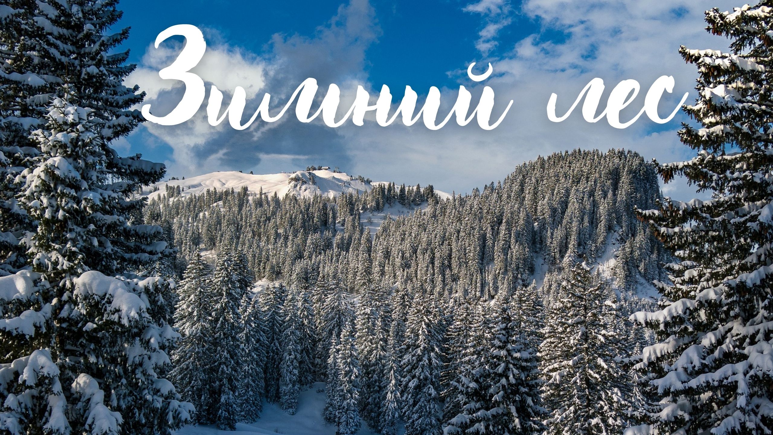 Зимний лес. Красивая музыка. смотреть онлайн