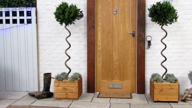 Bay Tree Spiral 1.5-1.6m Laurus Nobilis смотреть онлайн