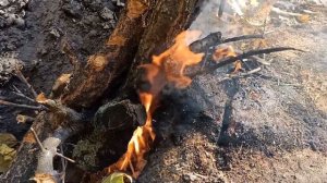 Как избавиться от пня методом выжигания. Ч.1