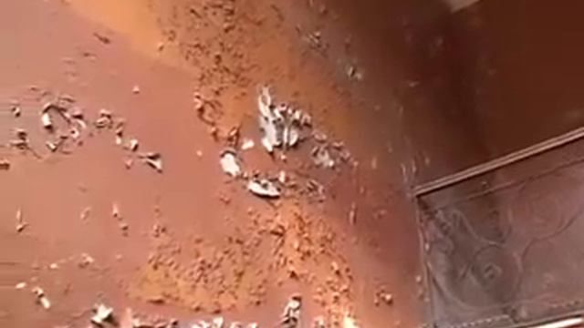 Дом с одной стеной. смотреть онлайн