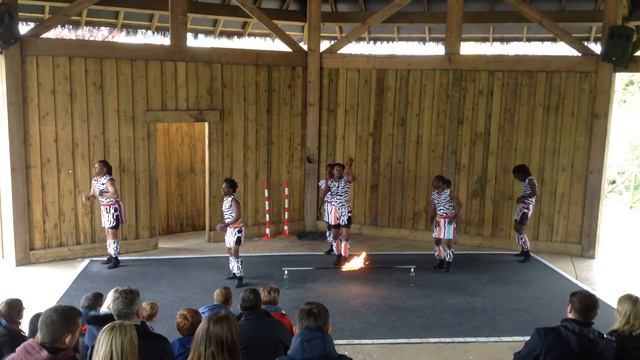 Bongo Warriors 02/05/15 Fire Limbo Dance смотреть онлайн
