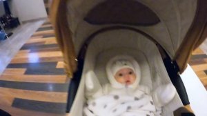 ПАНИКА У СОБАКИ. Хаски Впервые видит Ребёнка