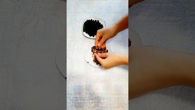 Наука о Животных и их Поведение