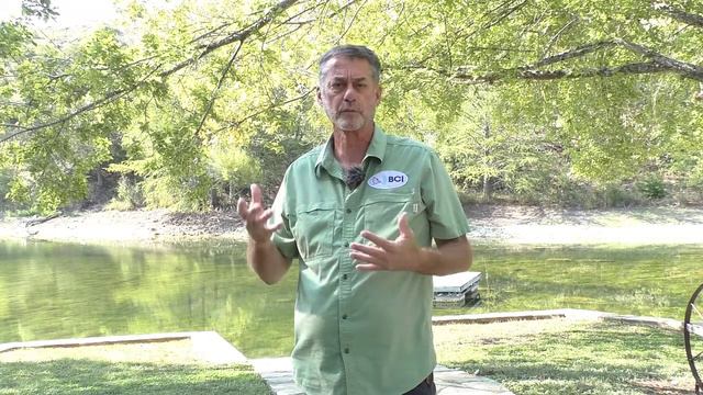 Leopold Live: Bat Boxes смотреть онлайн
