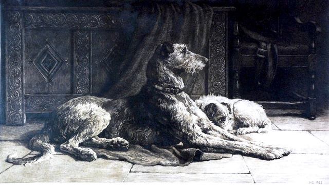 These Dogs Are Older Than History | The Irish Wolfhound
