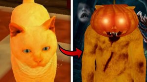 А ТЫ ХОРОШО ЗНАЕШЬ СВОЕГО КОТА? « Cat Fred Evil Pet