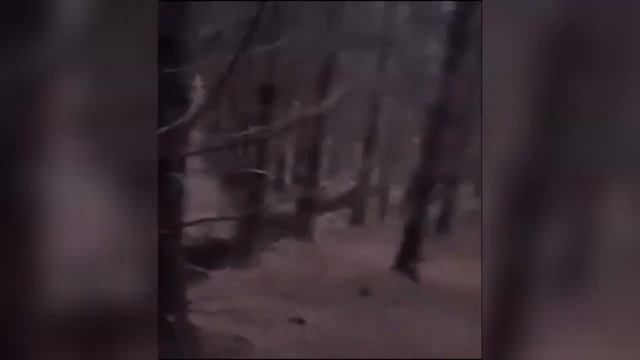 ТОП 5 ЖУТКИХ СУЩЕСТВ ИЗ ЛЕСУ, СНЯТЫХ НА КАМЕРУ смотреть онлайн