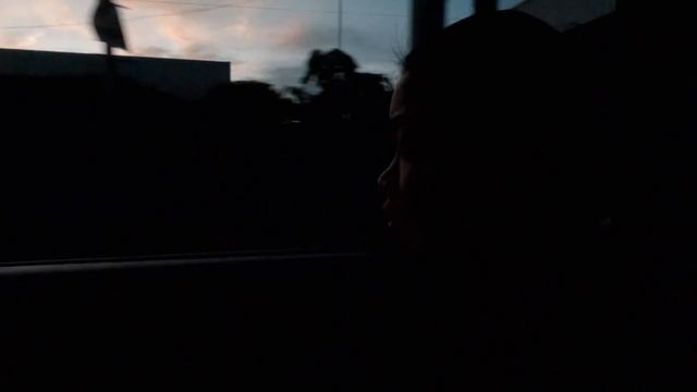 Philippines | Davao | Philippine Eagle | Davao to Mati Road Trip | Dahican Beach смотреть онлайн
