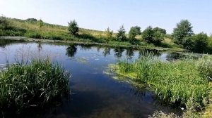 Рыбалка с рогаткой на каналах