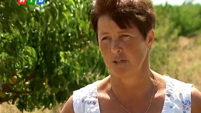 Крым усыпан персиками смотреть онлайн