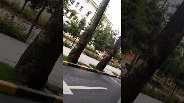 Dushanbe Tajikistan 16/05/2020 смотреть онлайн