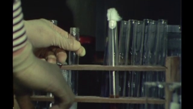 太陽にほえろ！ 第197話 ペスト