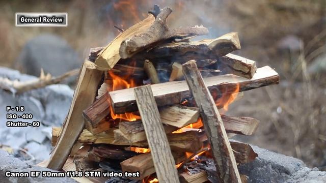 Canon EF 50mm f/1.8 STM video test (autofocus) смотреть онлайн