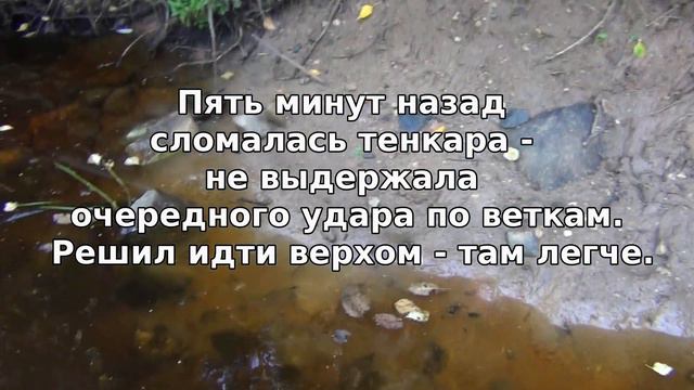 Прогулка выходного дня С тенкарой на дальний приток смотреть онлайн