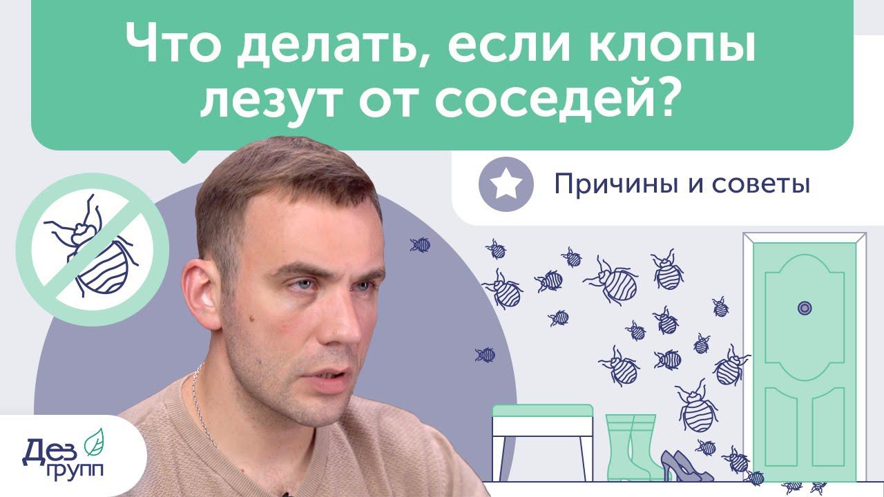 Что делать, если клопы лезут от соседей? Причины и советы | Клопы в квартире Дезинсекция Дезинфекция смотреть онлайн