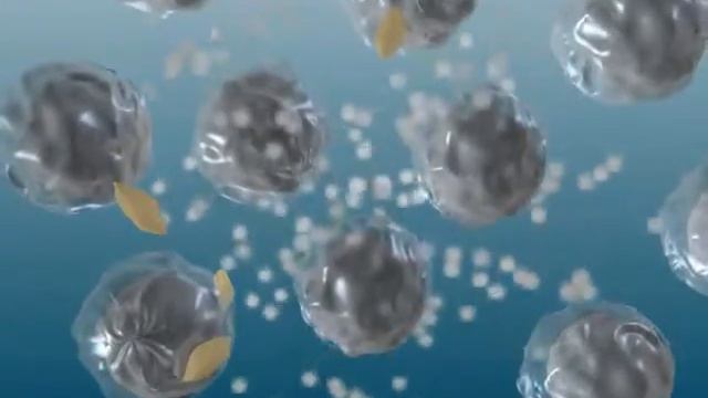 Раствор смотреть онлайн