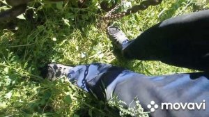 самодельный кран подъемник на заднюю навеску трактора МТЗ ЮМЗ Т-40