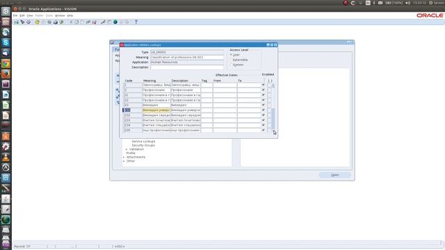 Oracle E-Business Suite Trick: How to provide cascading dependency in value sets смотреть онлайн