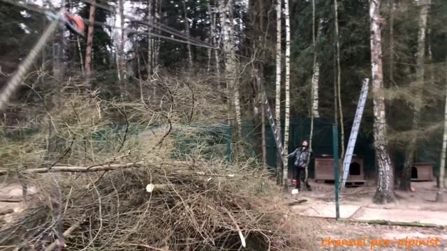 Необычный способ удаления дерева, используем систему полиспаст смотреть онлайн